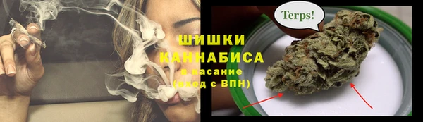 apvp Аркадак