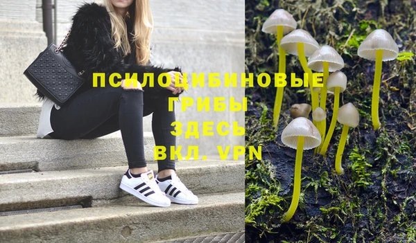 Альфа ПВП Алексин