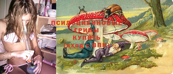 не бодяженный Арсеньев
